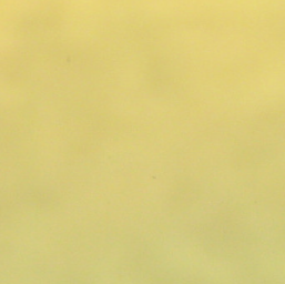 van-branding-wrap-signwriting-Mirror Chrome2